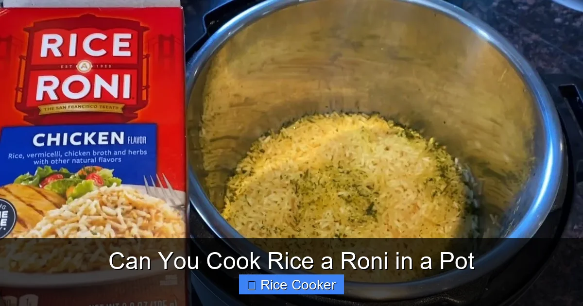 Can You Cook Rice a Roni in a Pot