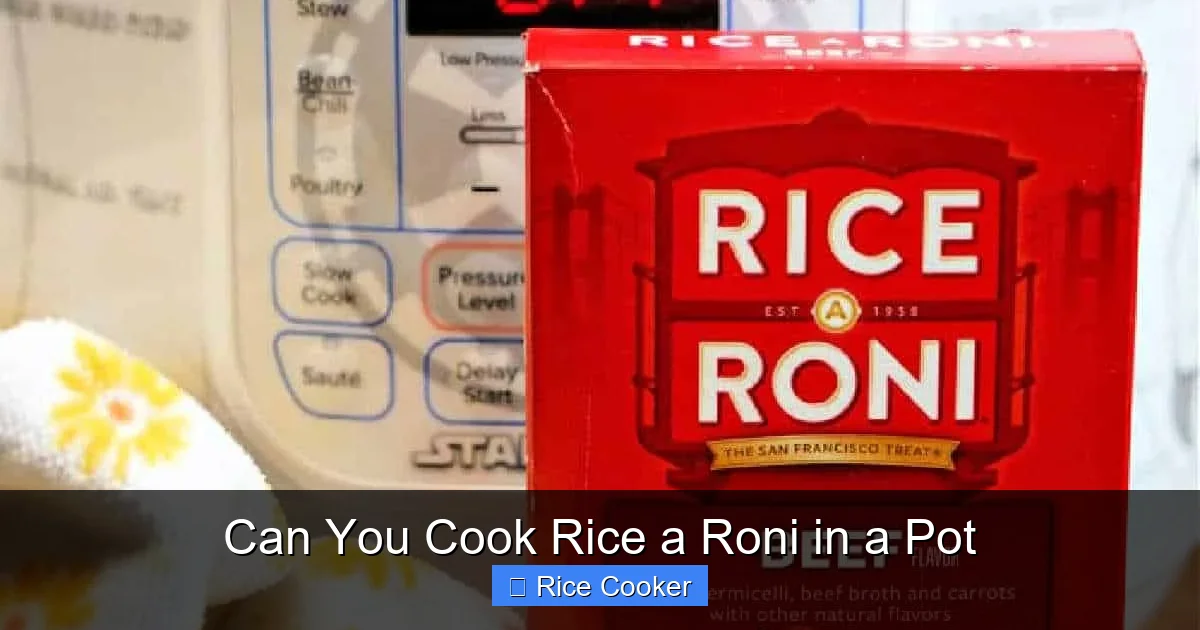 Can You Cook Rice a Roni in a Pot