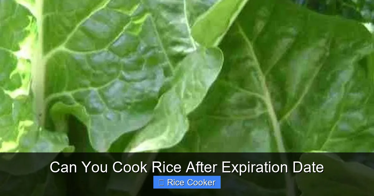 Can You Cook Rice After Expiration Date