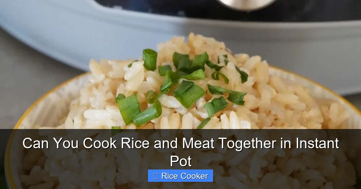 Can You Cook Rice and Meat Together in Instant Pot