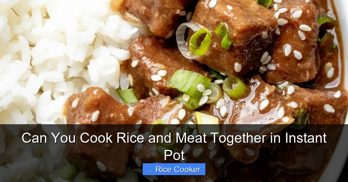 Can You Cook Rice and Meat Together in Instant Pot