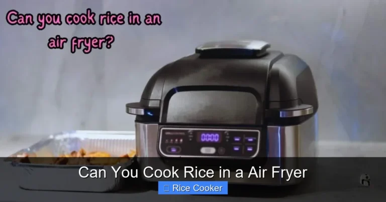 Can You Cook Rice in a Air Fryer
