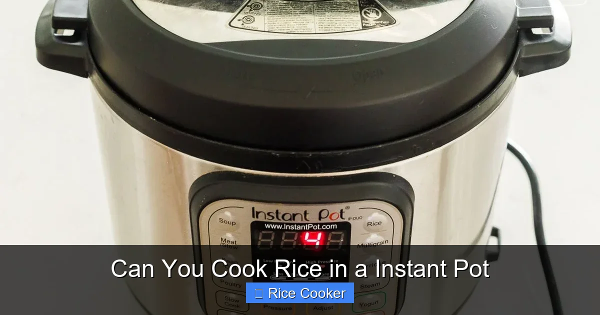 Can You Cook Rice in a Instant Pot
