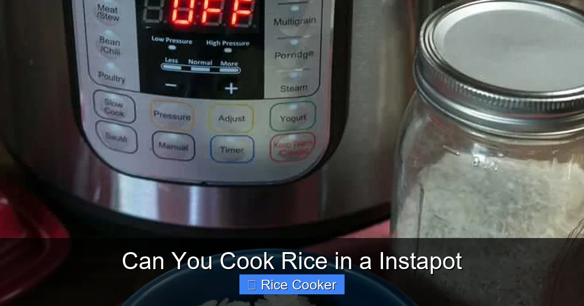 Can You Cook Rice in a Instapot