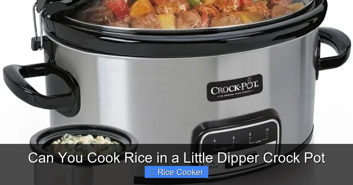 Can You Cook Rice in a Little Dipper Crock Pot