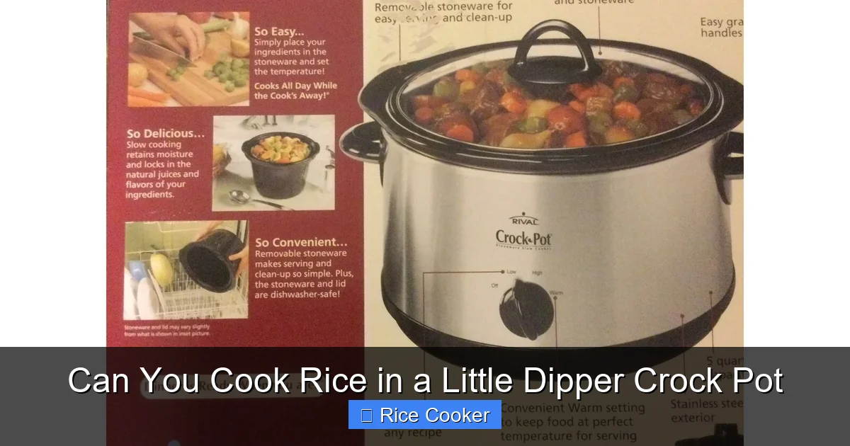 Can You Cook Rice in a Little Dipper Crock Pot