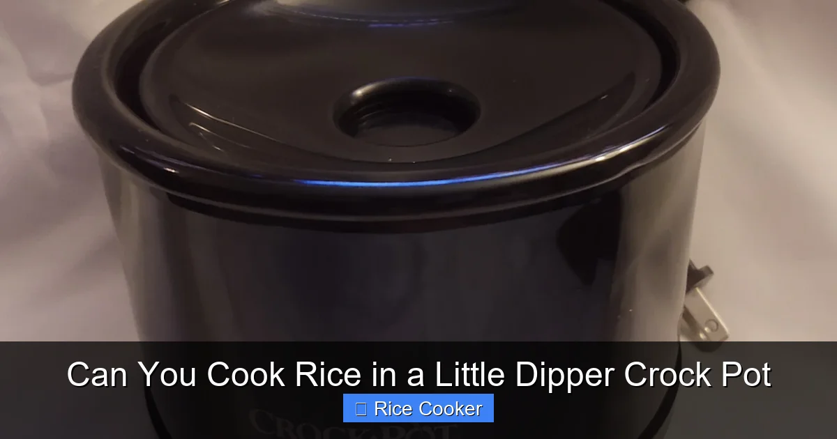 Can You Cook Rice in a Little Dipper Crock Pot