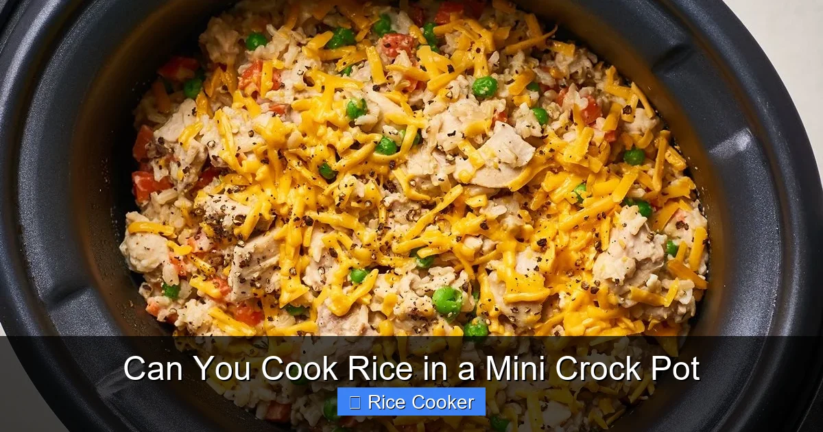 Can You Cook Rice in a Mini Crock Pot