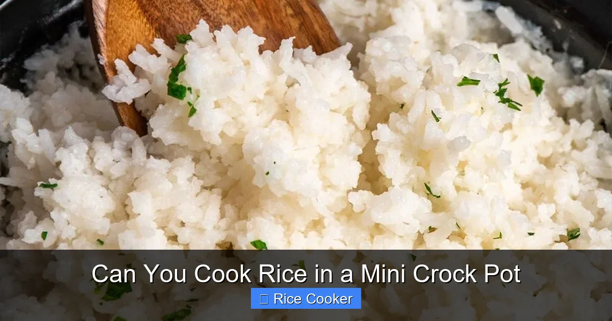 Can You Cook Rice in a Mini Crock Pot