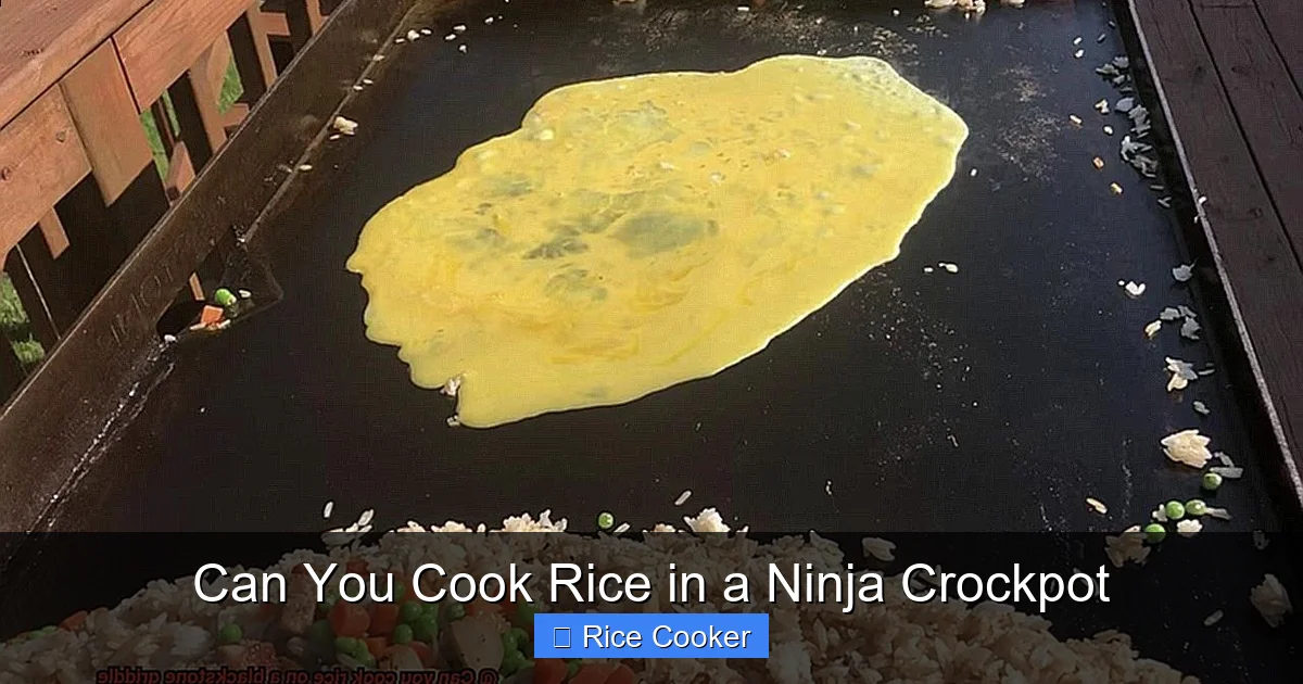 Can You Cook Rice in a Ninja Crockpot