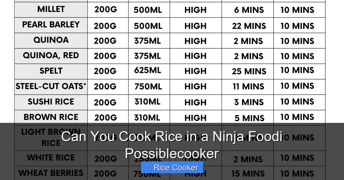 Can You Cook Rice in a Ninja Foodi Possiblecooker