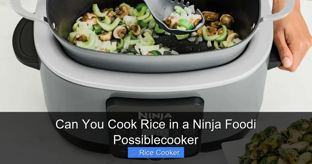 Can You Cook Rice in a Ninja Foodi Possiblecooker