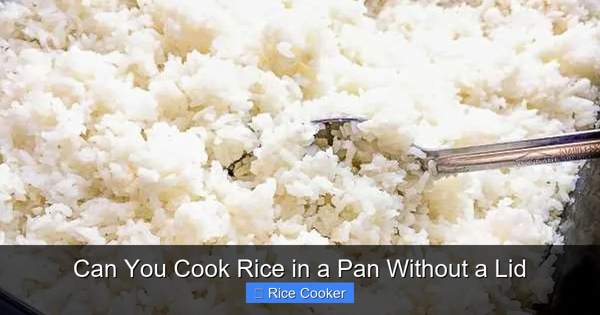 Can You Cook Rice in a Pan Without a Lid