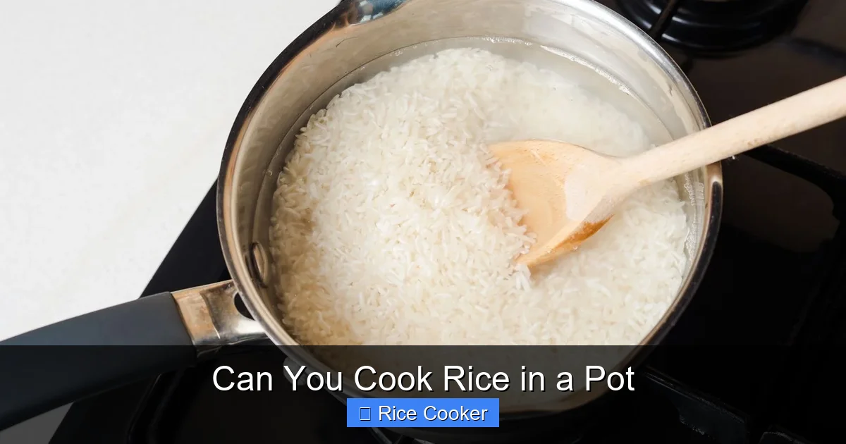 Can You Cook Rice in a Pot