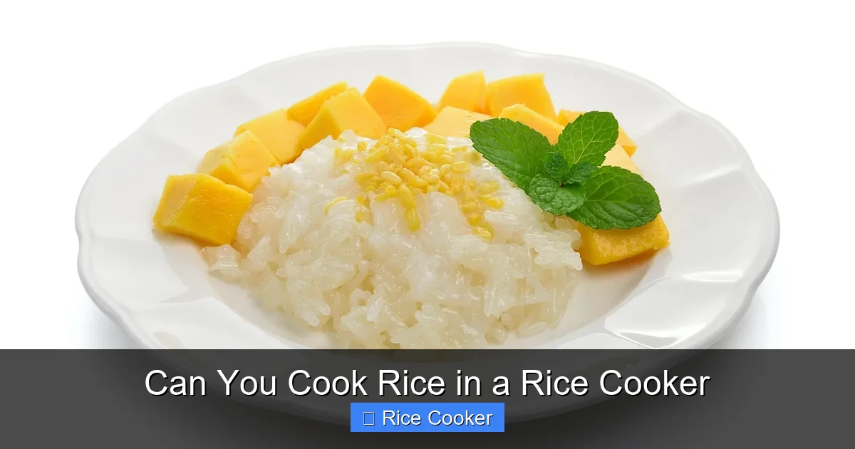 Can You Cook Rice in a Rice Cooker