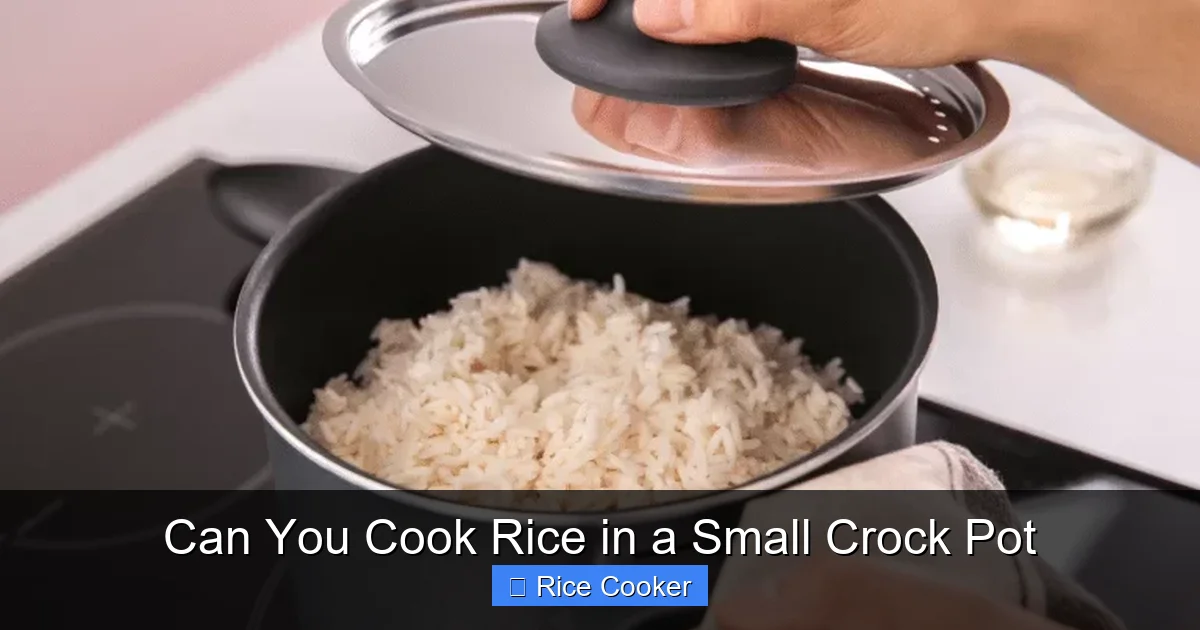 Can You Cook Rice in a Small Crock Pot