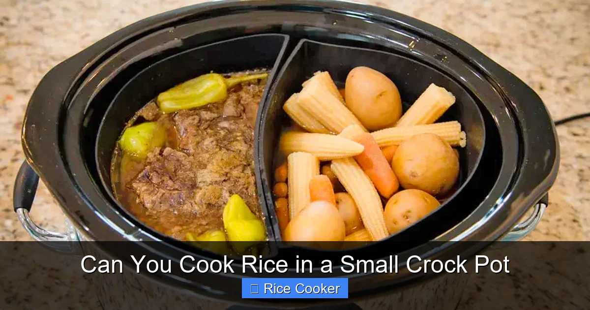 Can You Cook Rice in a Small Crock Pot