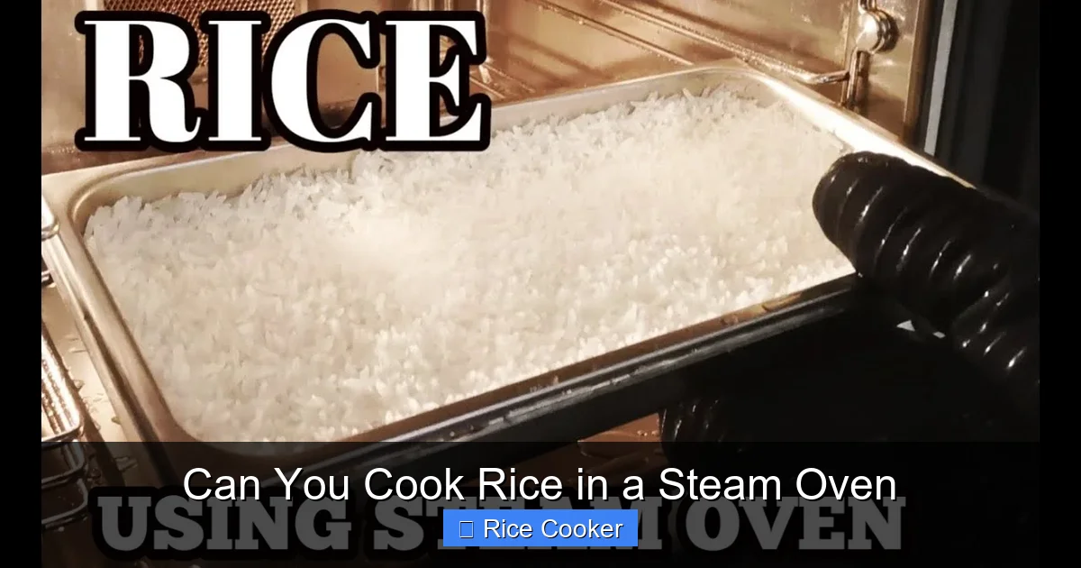 Can You Cook Rice in a Steam Oven