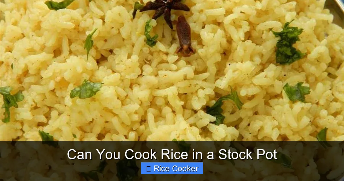 Can You Cook Rice in a Stock Pot
