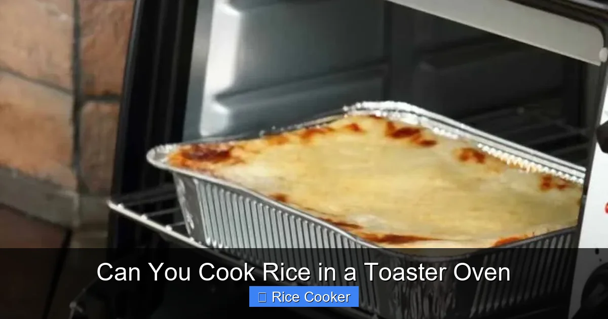 Can You Cook Rice in a Toaster Oven