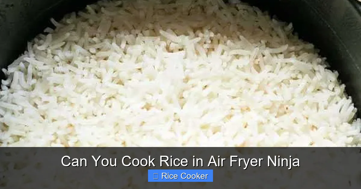 Can You Cook Rice in Air Fryer Ninja