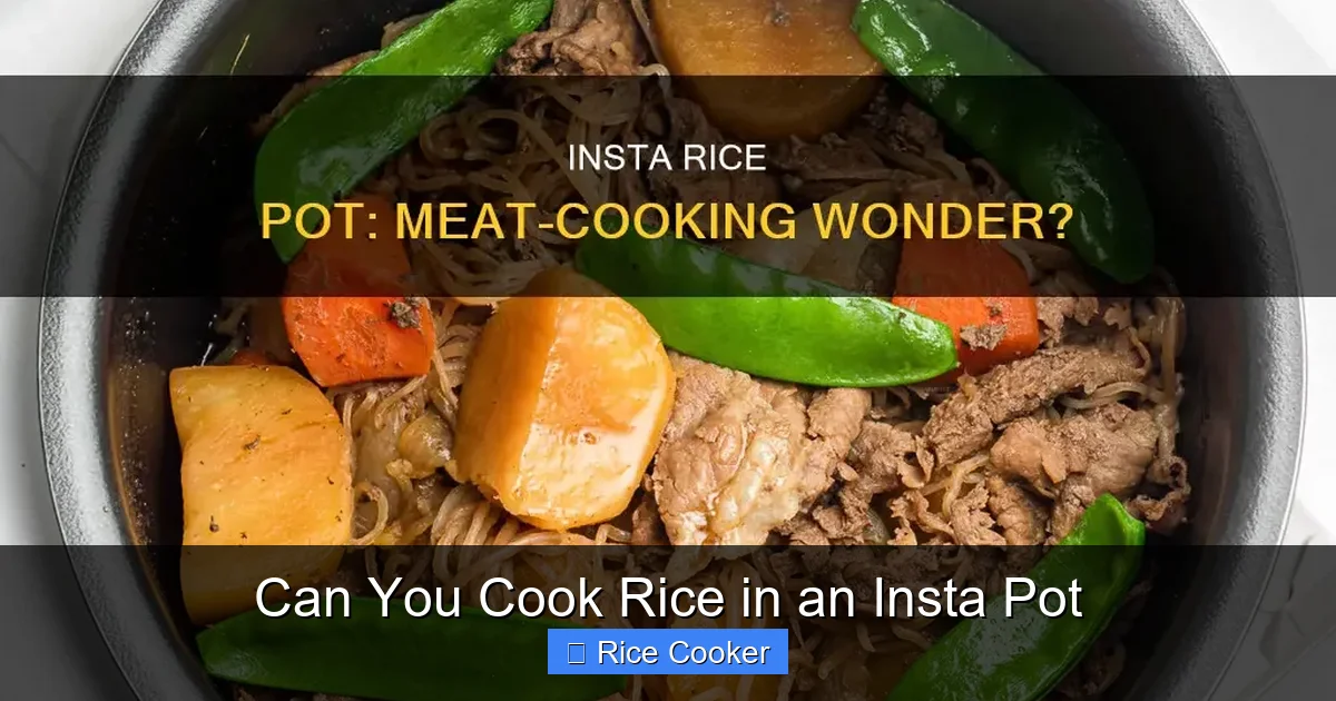 Can You Cook Rice in an Insta Pot
