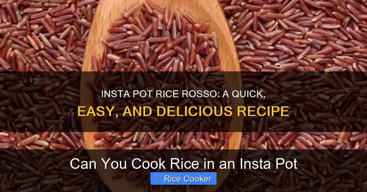 Can You Cook Rice in an Insta Pot