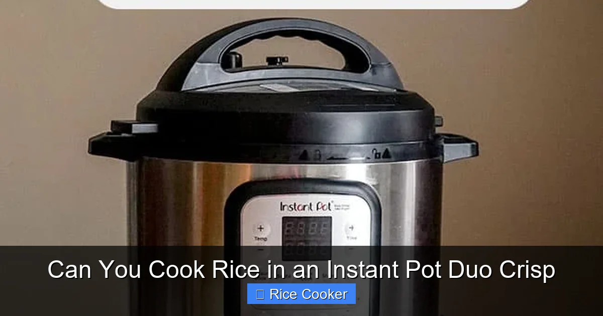 Can You Cook Rice in an Instant Pot Duo Crisp