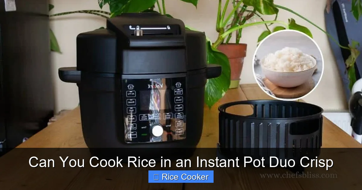 Can You Cook Rice in an Instant Pot Duo Crisp