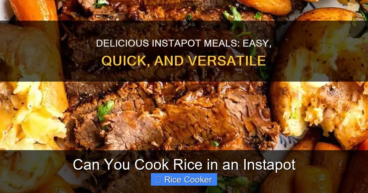Can You Cook Rice in an Instapot