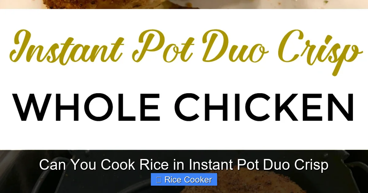 Can You Cook Rice in Instant Pot Duo Crisp