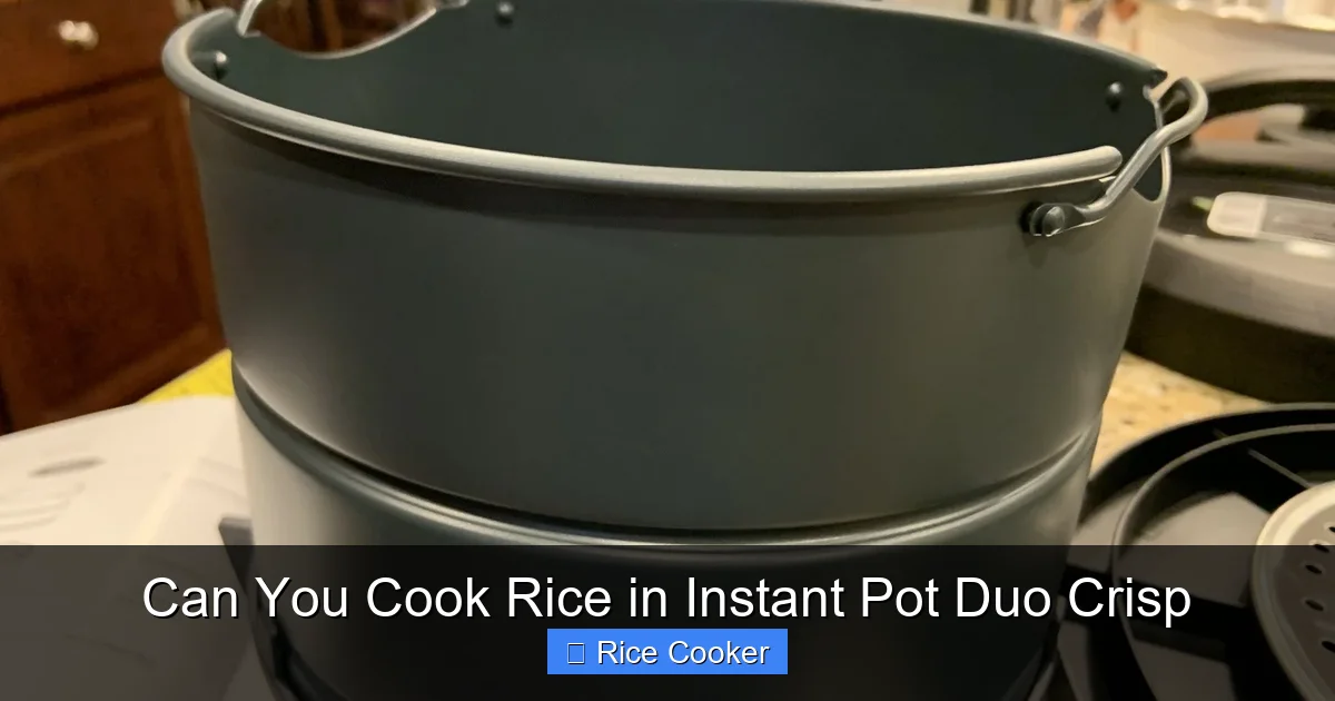 Can You Cook Rice in Instant Pot Duo Crisp