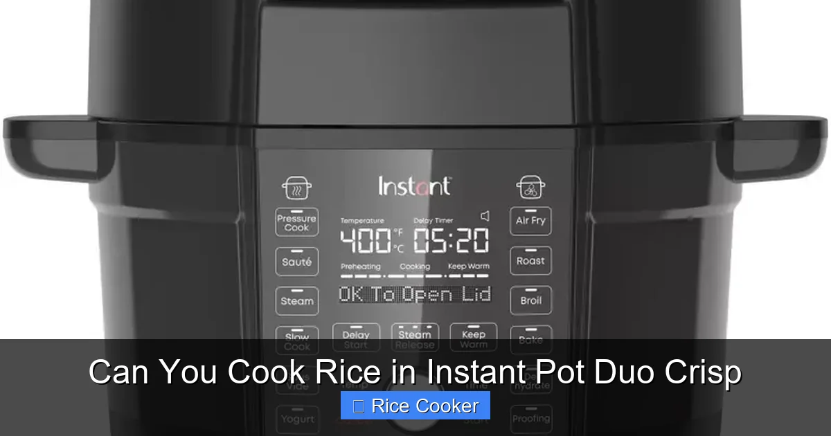 Can You Cook Rice in Instant Pot Duo Crisp