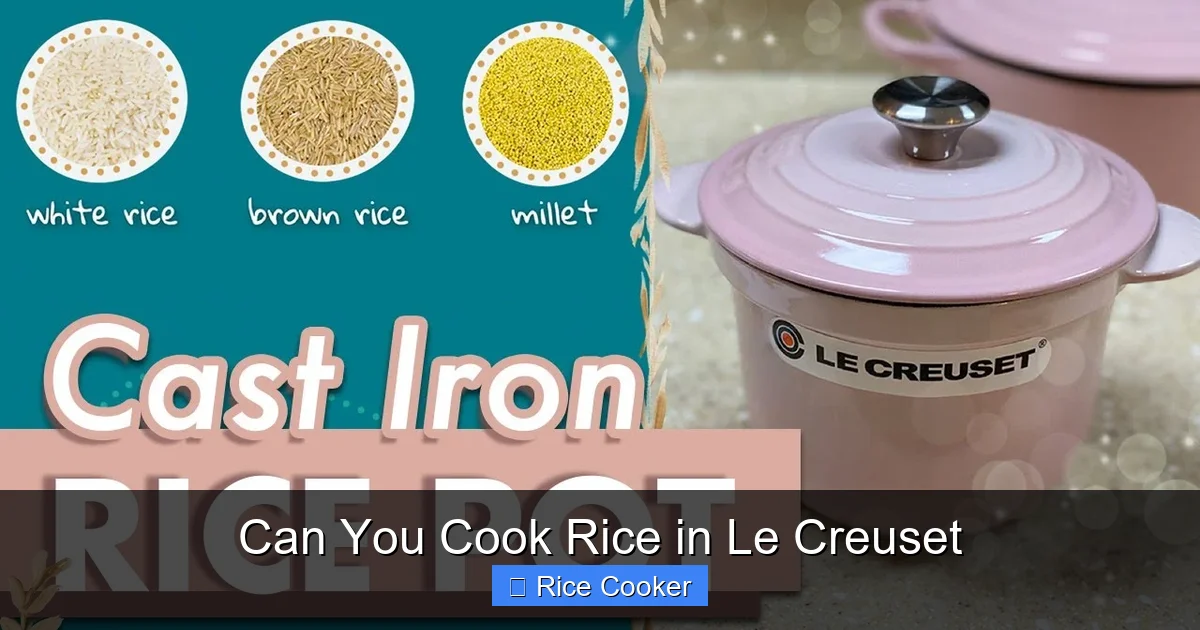 Can You Cook Rice in Le Creuset