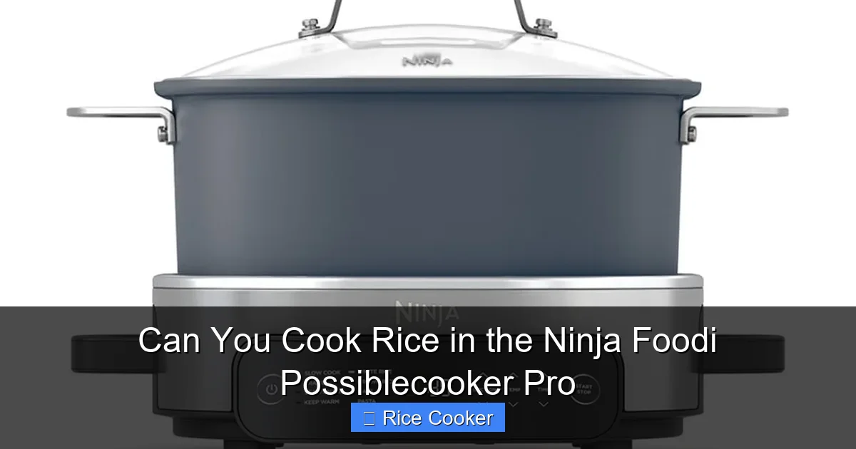 Can You Cook Rice in the Ninja Foodi Possiblecooker Pro