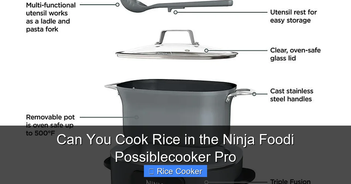 Can You Cook Rice in the Ninja Foodi Possiblecooker Pro