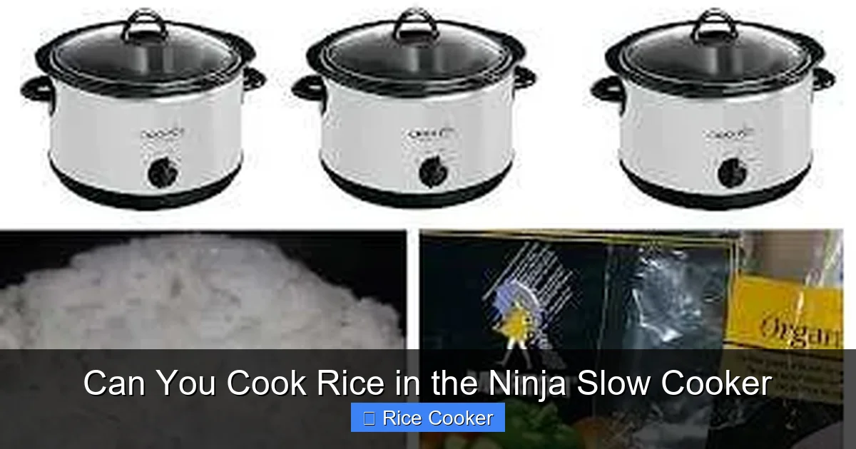 Can You Cook Rice in the Ninja Slow Cooker