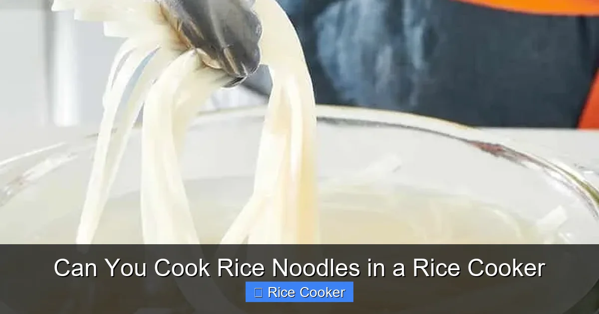 Can You Cook Rice Noodles in a Rice Cooker