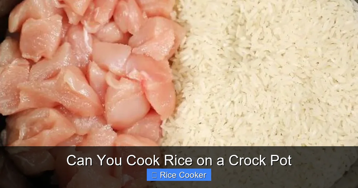 Can You Cook Rice on a Crock Pot