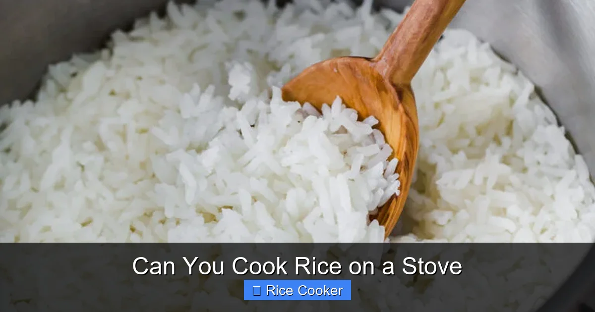 Can You Cook Rice on a Stove