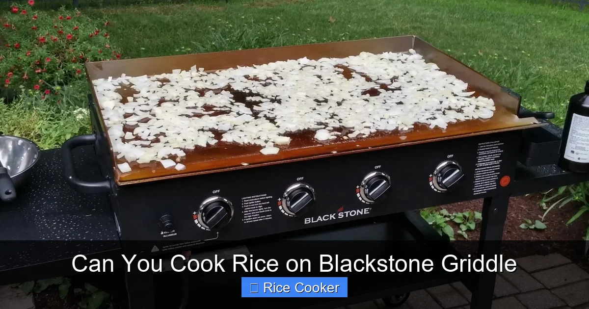 Can You Cook Rice on Blackstone Griddle