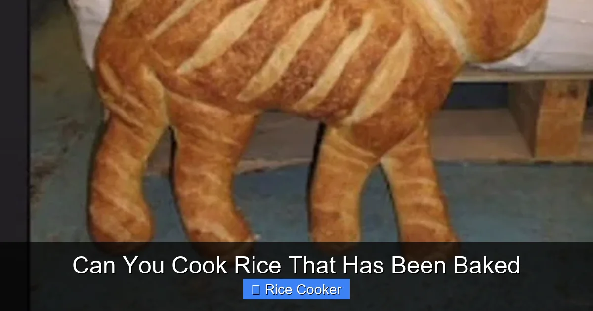 Can You Cook Rice That Has Been Baked