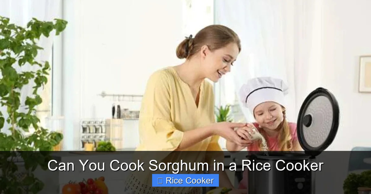 Can You Cook Sorghum in a Rice Cooker