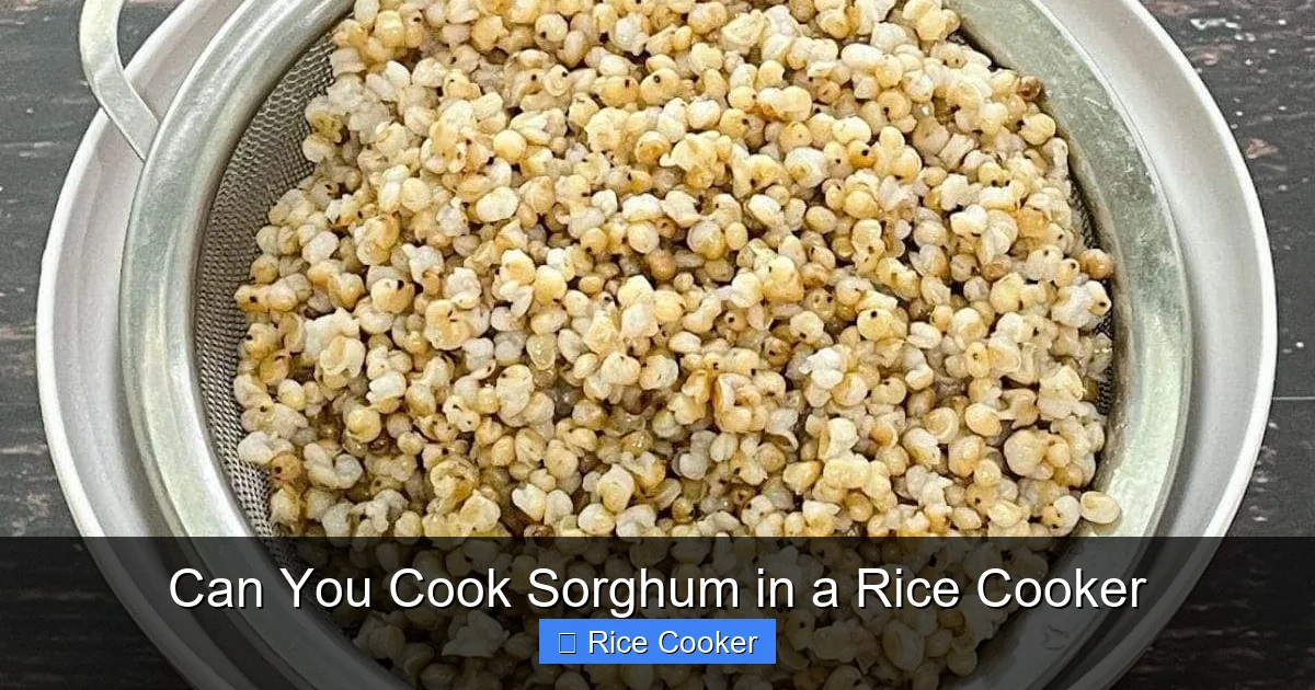 Can You Cook Sorghum in a Rice Cooker