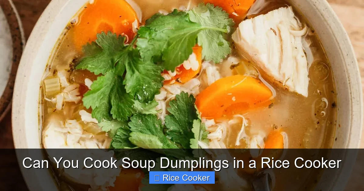 Can You Cook Soup Dumplings in a Rice Cooker