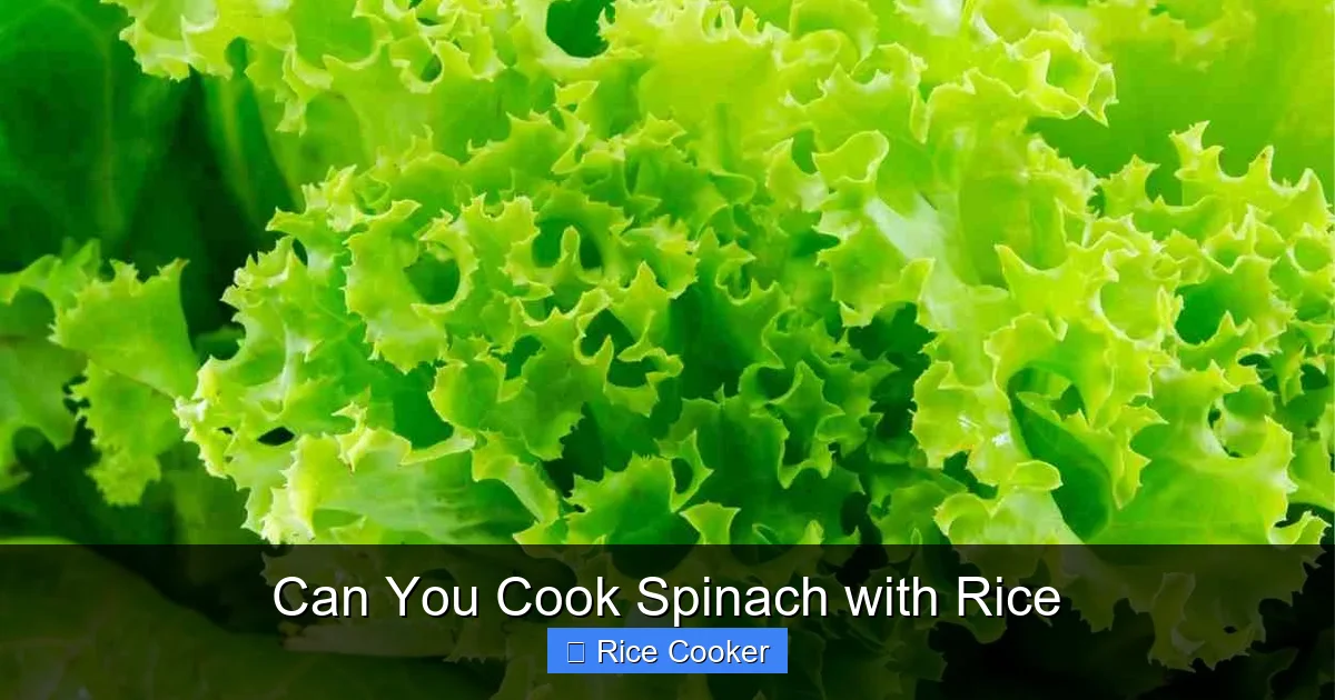 Can You Cook Spinach with Rice