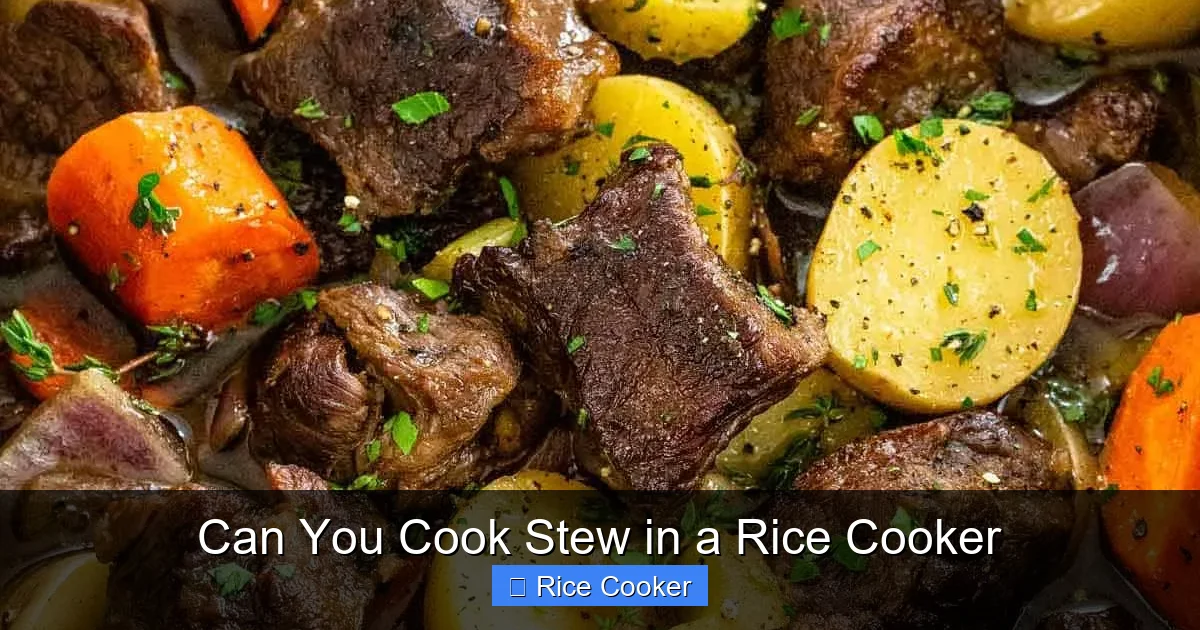 Can You Cook Stew in a Rice Cooker