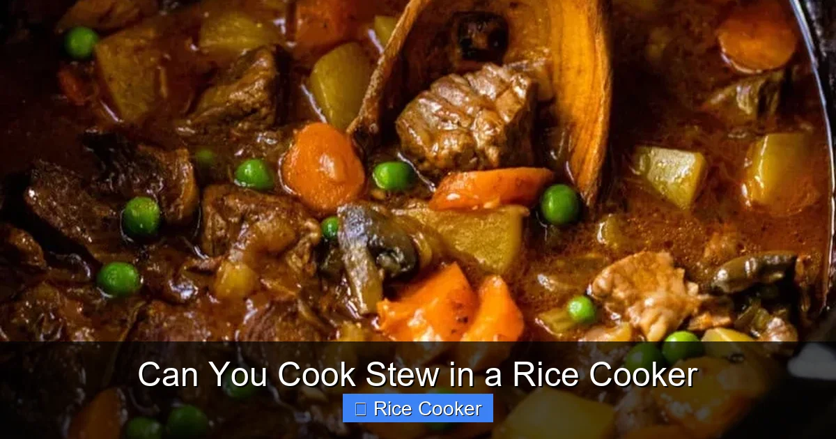 Can You Cook Stew in a Rice Cooker