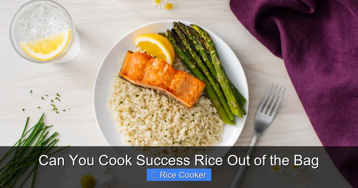 Can You Cook Success Rice Out of the Bag
