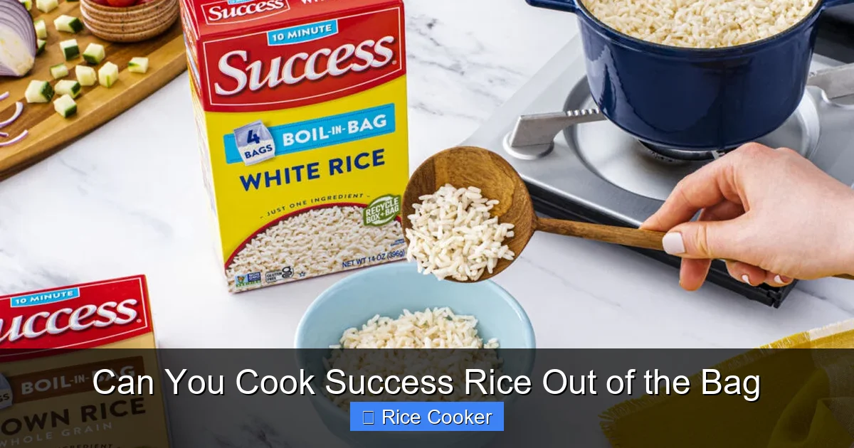 Can You Cook Success Rice Out of the Bag